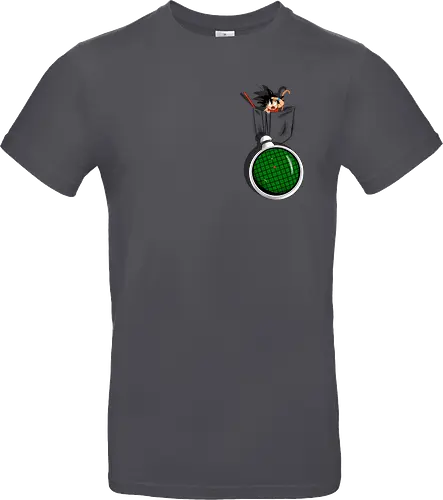 Pocket Radar