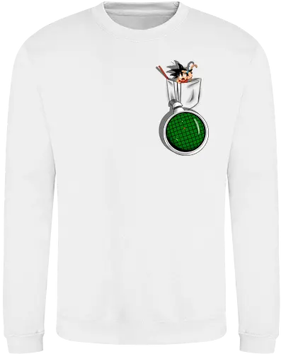 Pocket Radar