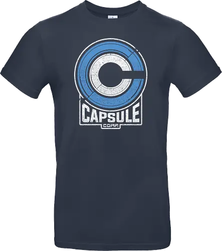Capsule 2073