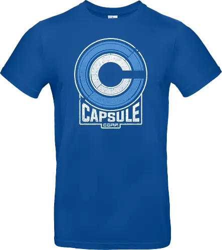 Capsule 2073
