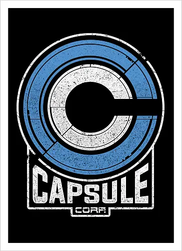 Capsule 2073