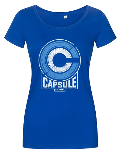 Capsule 2073