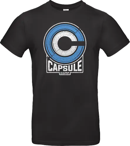 Capsule 2073