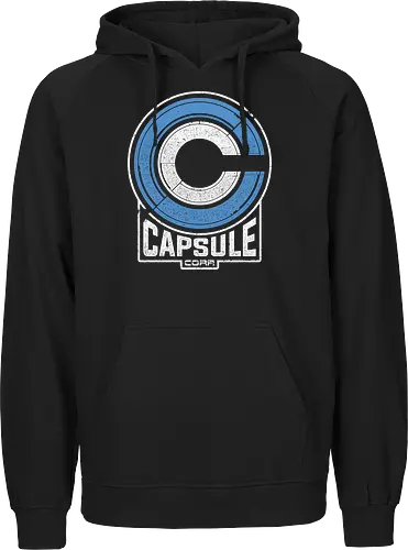 Capsule 2073