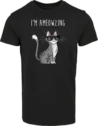 I'm Ameowzing