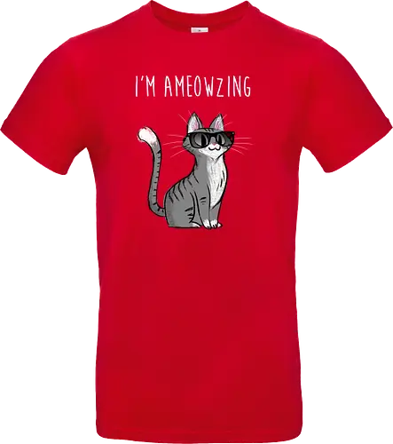 I'm Ameowzing