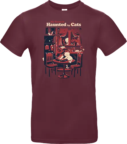 Haunted by cats