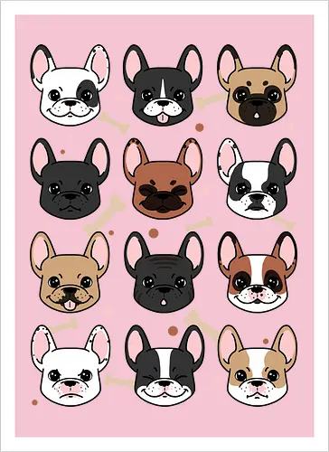 Many Frenchies