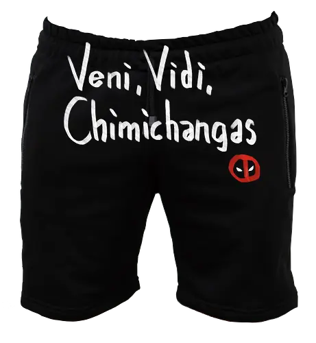 Veni, Vidi, Chimichangas