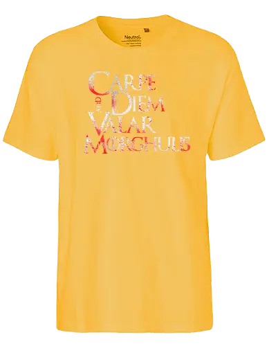 Carpe Diem - carpe diem, nutze den tag, latin, game, valar, morghulis, lied, eis, feuer, dohaeris, throConsole - Fairtrade T-Shirt