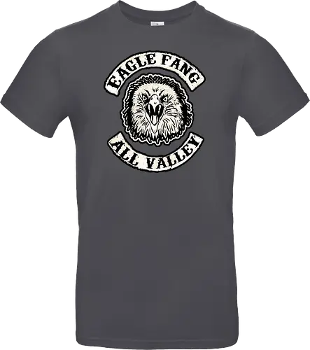 Sons of eagle