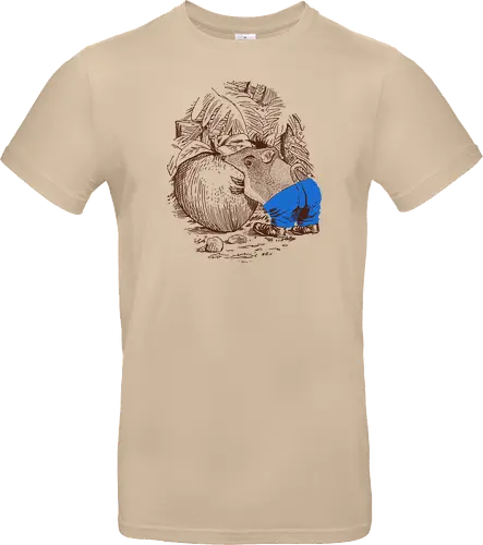 Bandicoot Sighting