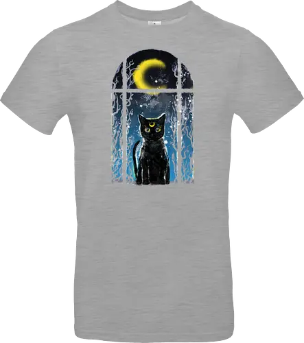 moon visitor