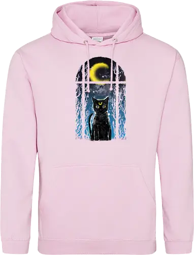 moon visitor