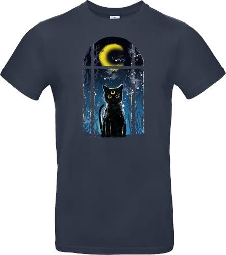 moon visitor