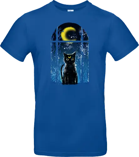 moon visitor