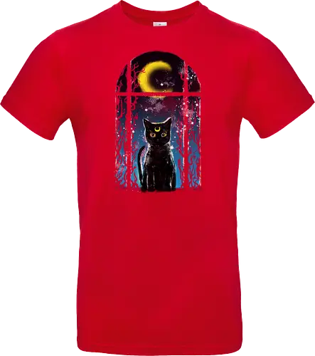 moon visitor