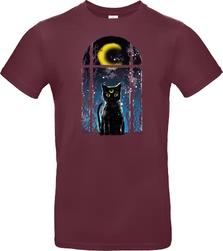 moon visitor