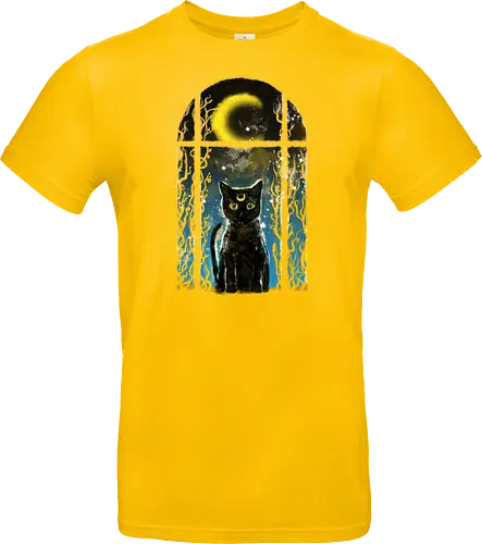 moon visitor