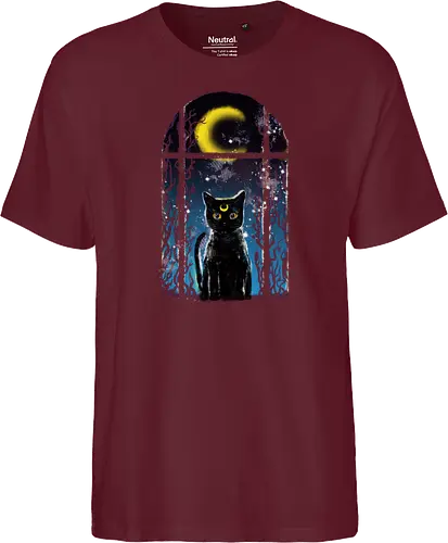 moon visitor