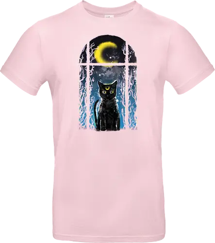 moon visitor