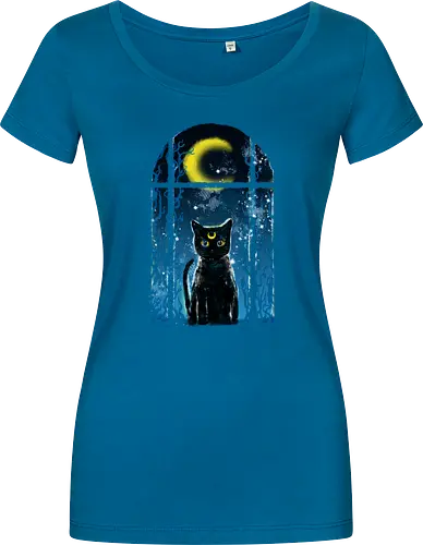 moon visitor