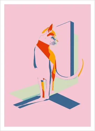geometricat 2
