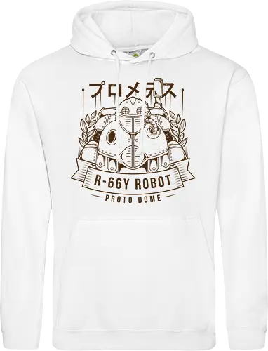 Robo R-66Y