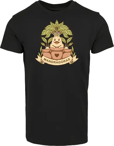 The Mandragoras
