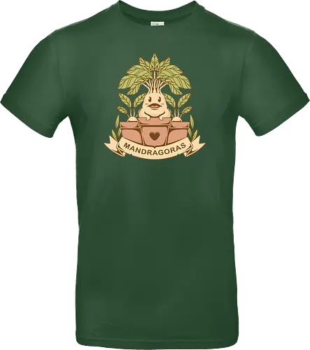 The Mandragoras