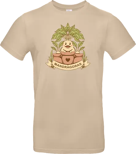 The Mandragoras