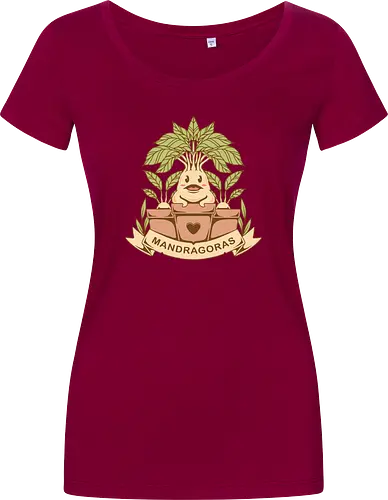 The Mandragoras