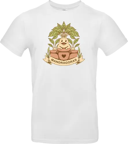 The Mandragoras