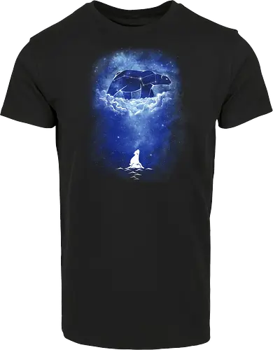 Starry Frozen Sky