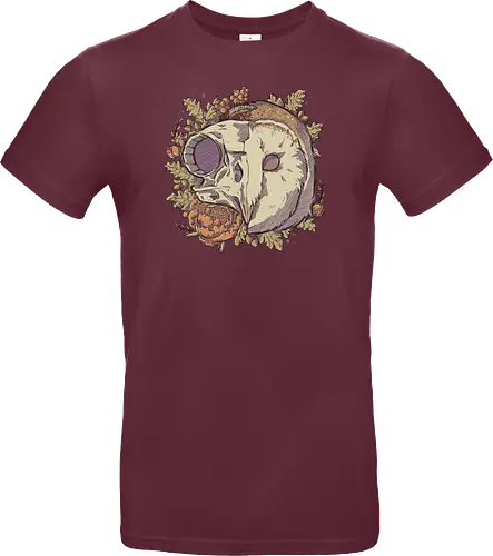 Autumn Barn Owl Skull