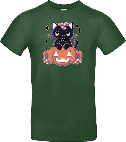 Pumpkin Cat