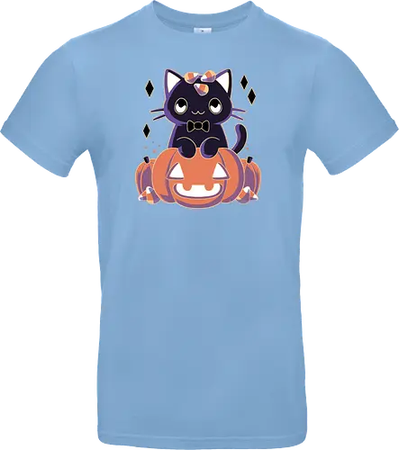 Pumpkin Cat