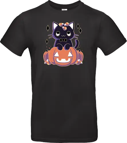 Pumpkin Cat