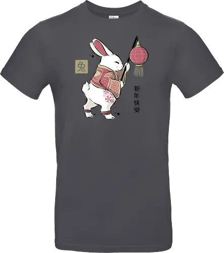 Year Of Rabbit
