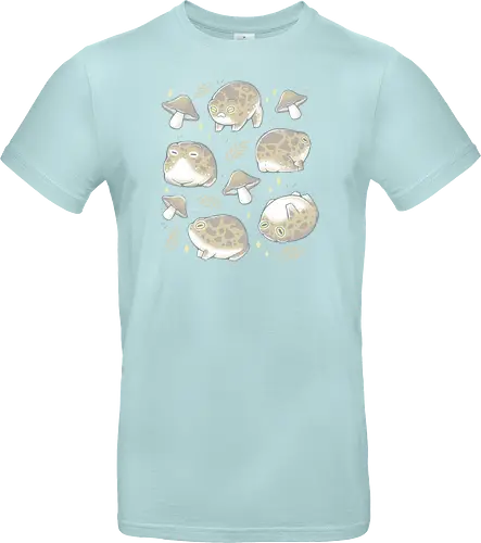 Rain Frogs