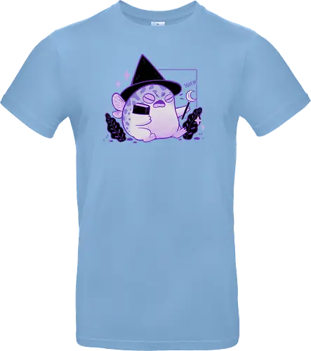Rain Frog Wizard