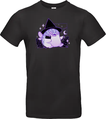 Rain Frog Wizard