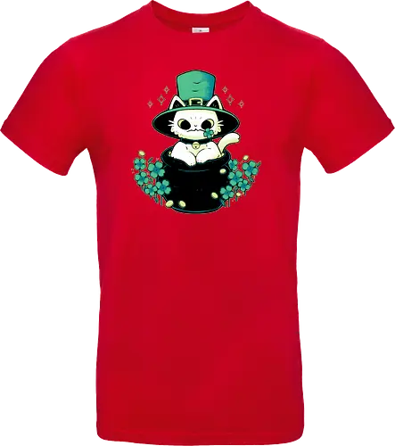 Cute St Patrick Cat