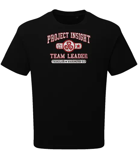 Project Insight
