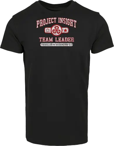 Project Insight