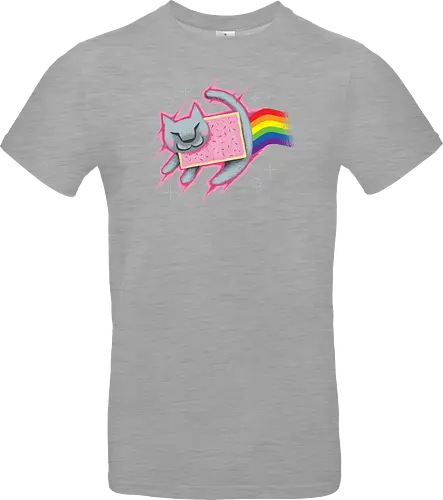The Nyan King