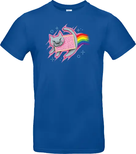 The Nyan King
