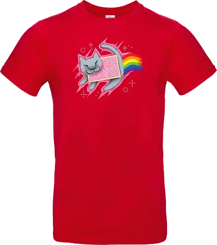 The Nyan King