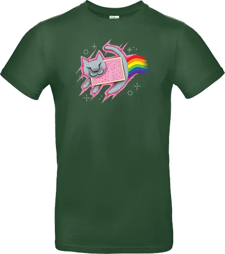 The Nyan King