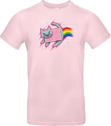The Nyan King